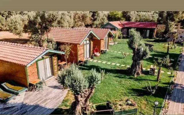Serender Bungalov