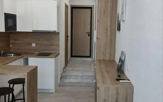 Studio apartments on 41 Tolstogo Street