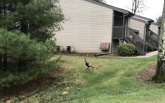 Westwood Villas, Lake Harmony, USA