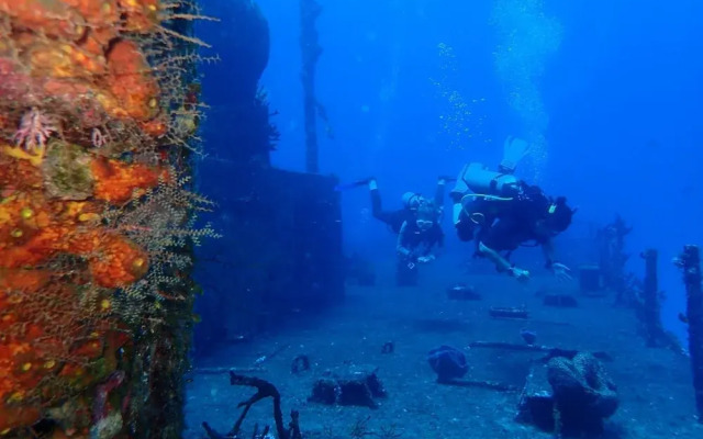 Agave Azul - Grand Cozumel, Hotel and Diving