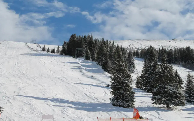 Chalet Almrausch