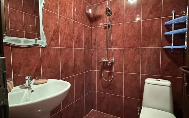 Guest House Rustaveli 301
