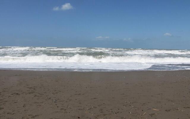 Happy Camp Camping Free Beach