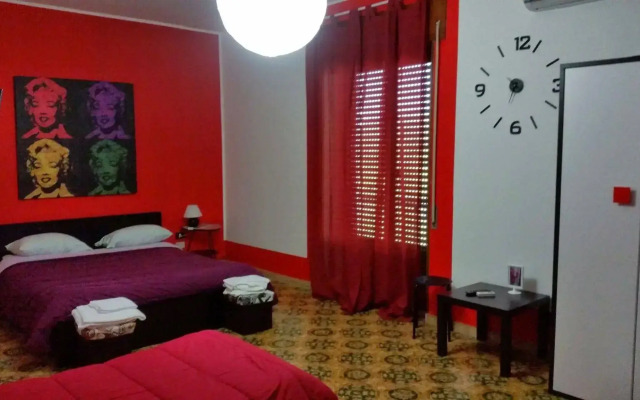 B&B Colors