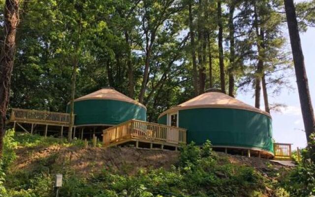 Circle M Camping Resort 24 Ft. Yurt 2