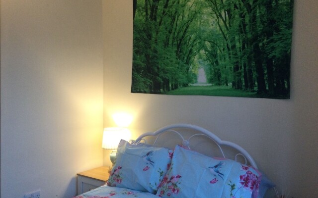 TDM Bachelot Lettings Ltd