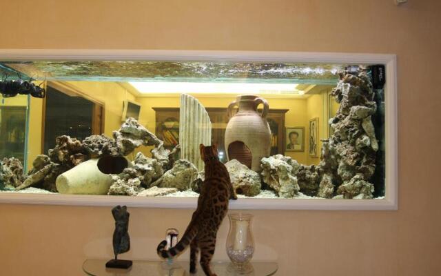 Propriété Prestige Cannes Mougins