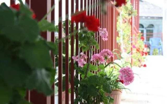U Rimmy Guest House