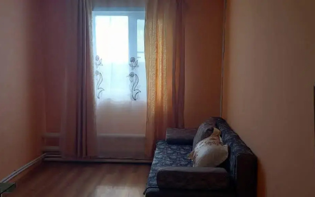 Zheleznyi mir