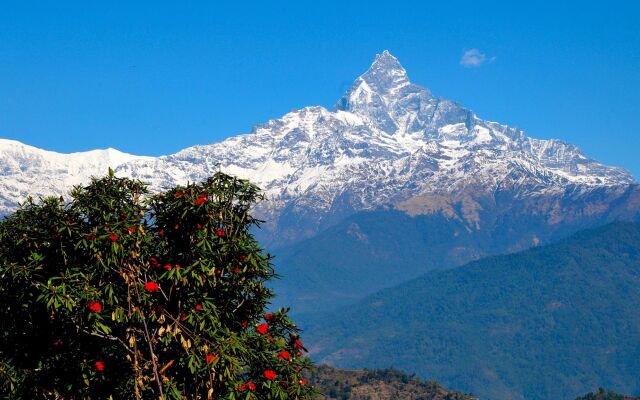 Himalayan Deurali Resort