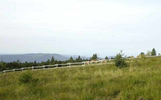 Wellness- & Nationalpark Hotel Schliffkopf Bwsc