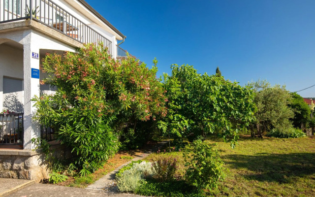 Studio Point of view