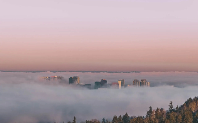 W Bellevue