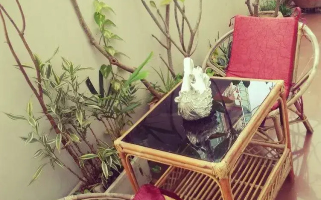 Mama'S Villa