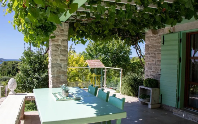 Authentic Dalmatian Treasure Homes