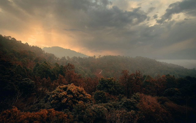 Seclude Lansdowne - Uttarakhand