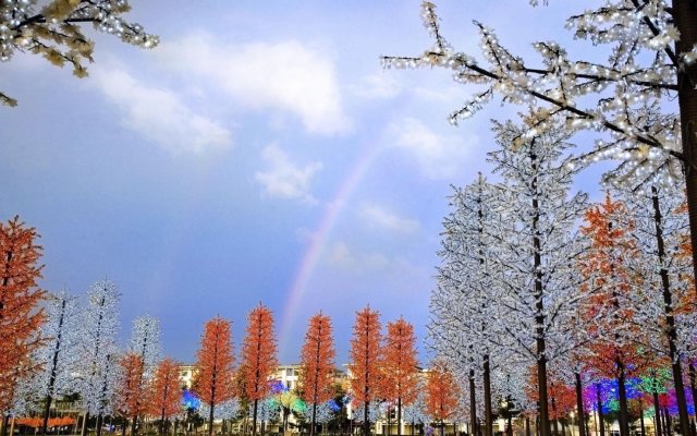 Pool Lagoon Subang