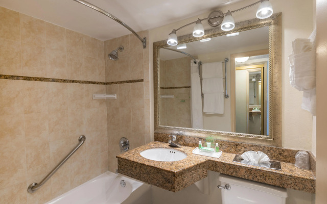Holiday Inn Port of Miami - Downtown by IHG