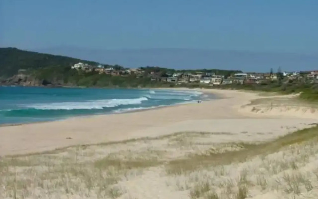 Beach Comber