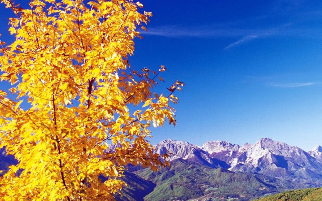 Agriturismo La Palazzina