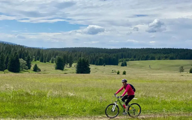 Apartmán SKI Plešivec