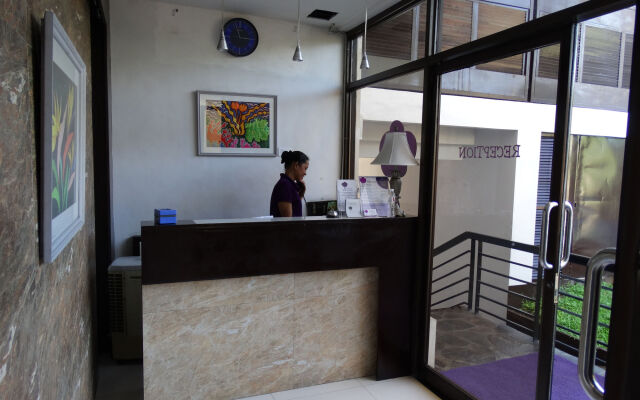 The Purple Tree Bed & Breakfast