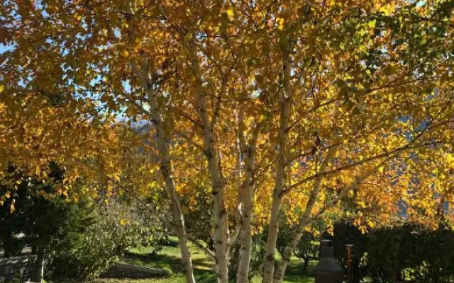 Agriturismo Verger Plein Soleil