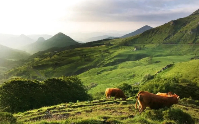 Logis Le Clair Logis