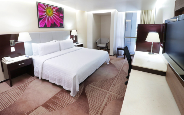 Holiday Inn Hotel & Suites Medica Sur by IHG