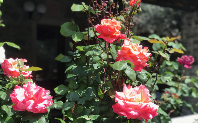 Relais San Filippo In Sogaglia