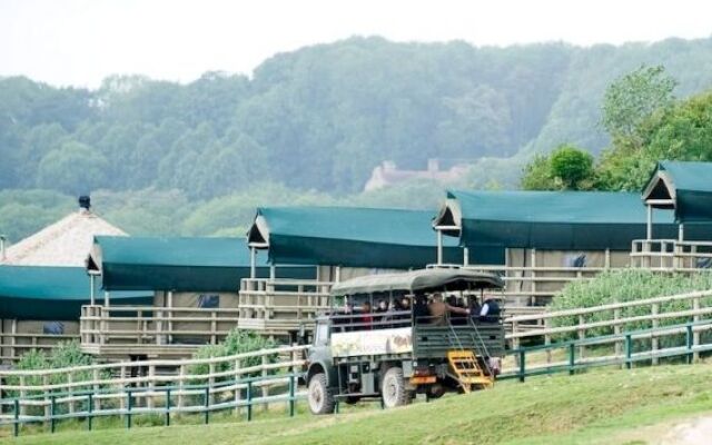 Port Lympne Reserve - Livingstone Lodge