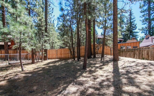 Avalon Hide OUT #1336