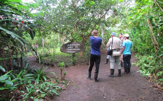 Maquenque Eco Lodge