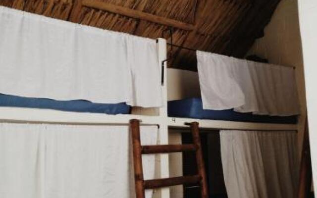 El Zoo Hostel & Pool