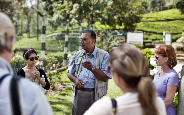 Ceylon Tea Trails