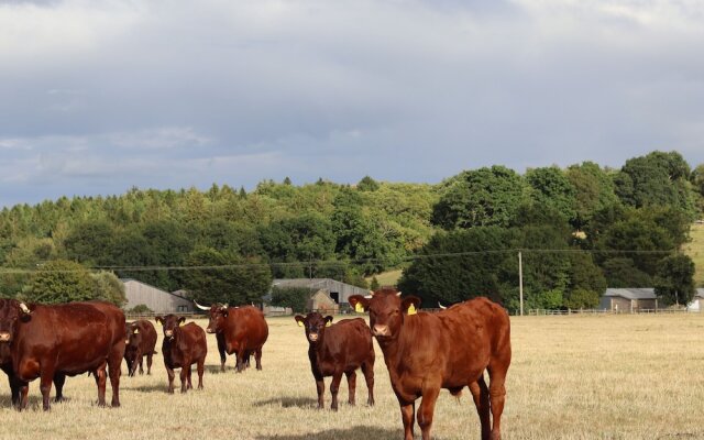 Oxen Cottage @ Nables Farm