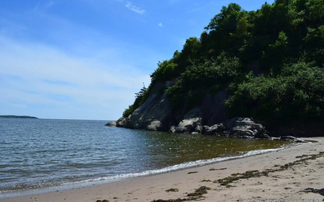 Best Western Plus Saint John Hotel & Suites