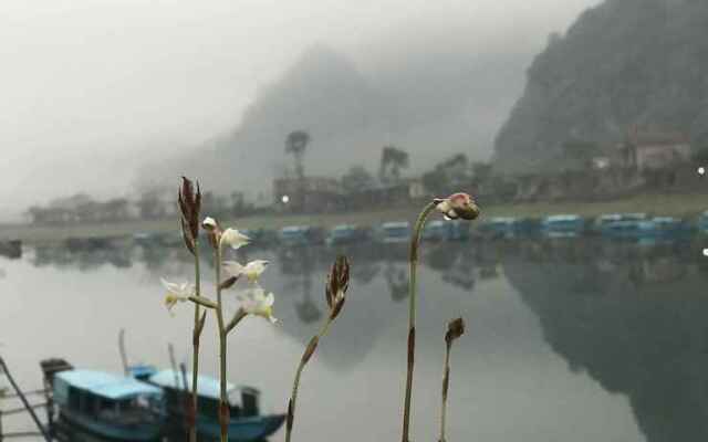 Phong Nha Coco House