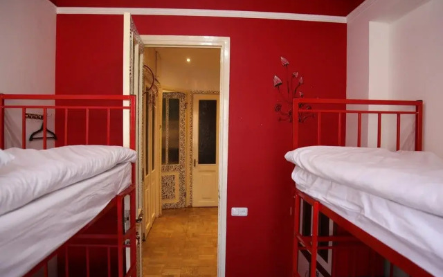 Zebra Hostel & Tours