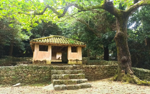 Papillon パピヨン