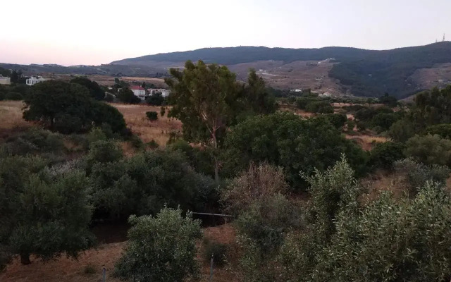 Nikitas Apartments & Loft