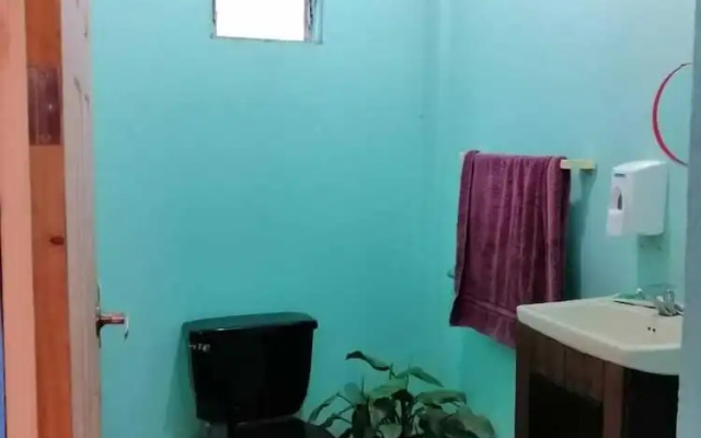 Sofi's Hostel Monteverde