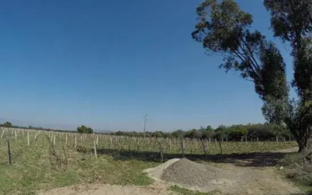 Ryad de Vignes " Le Val d'Argan "