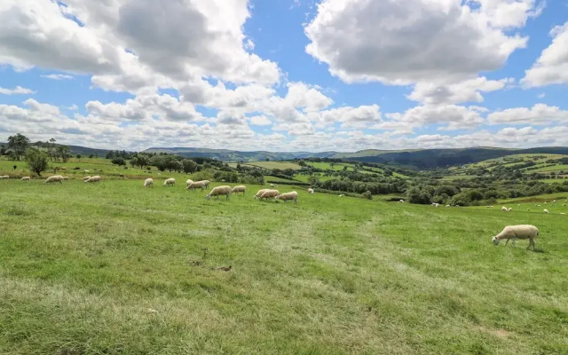 Hillside View