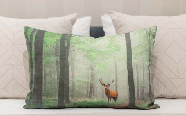 Santa Catarina Prime Studios