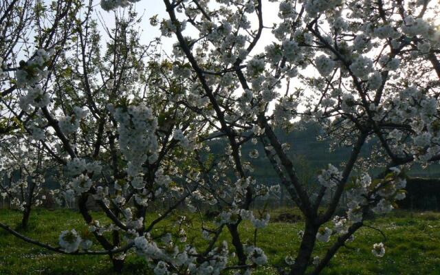 B&B Il Pettirosso