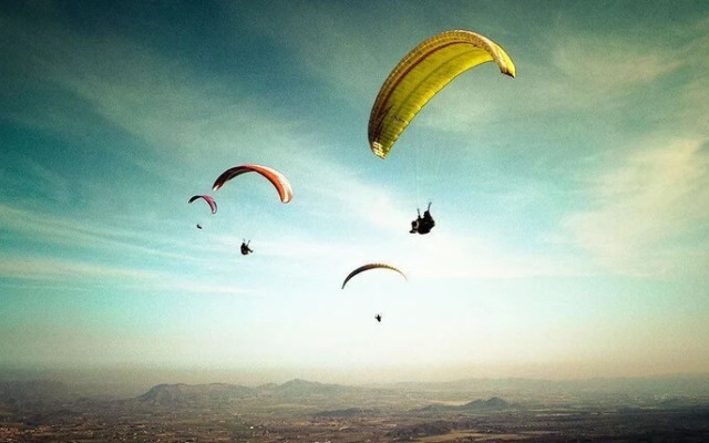 Damyanti Hotel And Resort