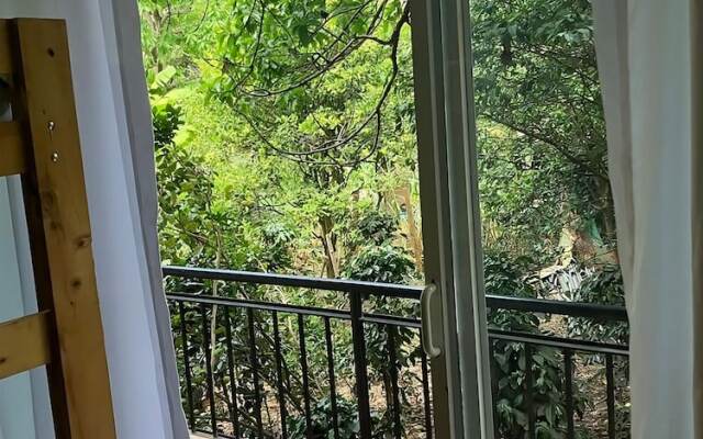 Zoila's Suite Escape
