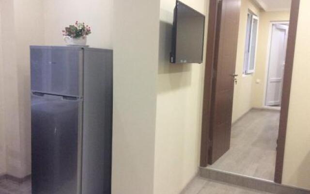 Guest house Agmashenebeli 229