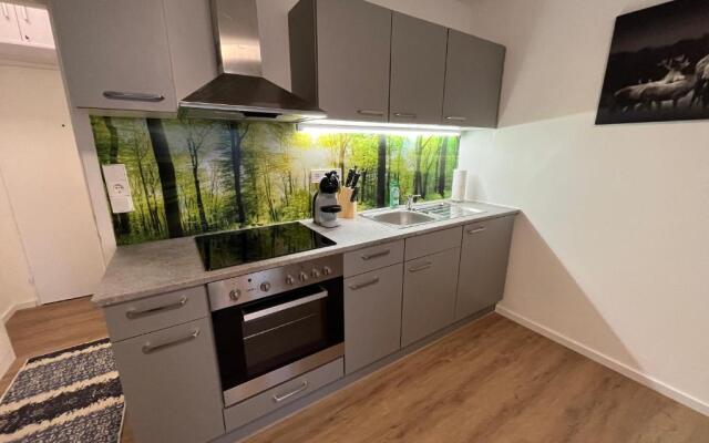 Modernes 4er Apartment in Skilift-Nähe